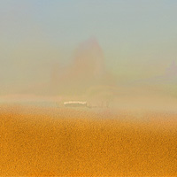 Sand Storm