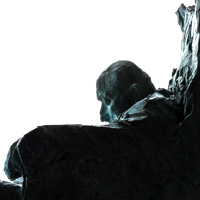 Bach sitting