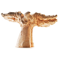 Hands are wings